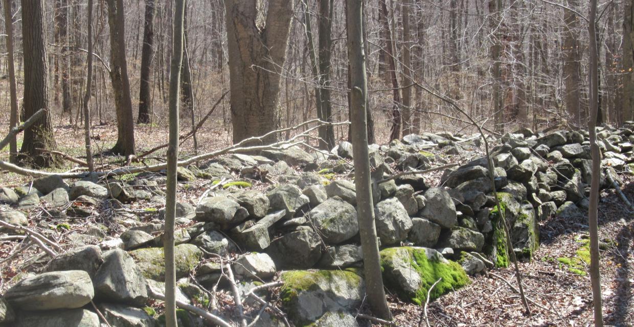 Wide stone walls along the Indian Hill Loop Trail - Photo by Daniel Chazin
